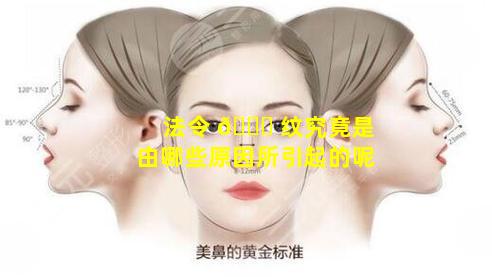 法令 🕊 纹究竟是由哪些原因所引起的呢